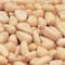 Bakers Select BS Pine Nuts Raw 5lbs 9618096 - alternate 1
